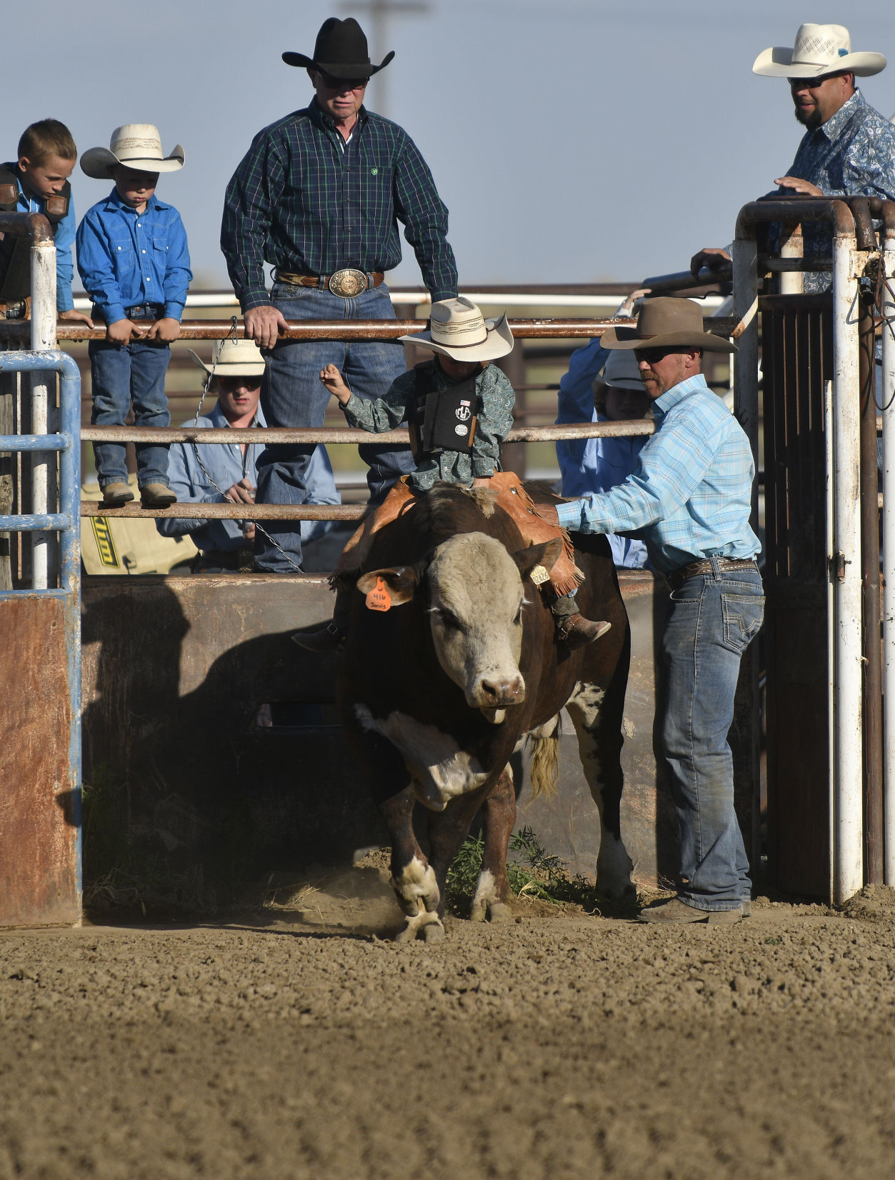 Lincoln County Mini Bull Riding